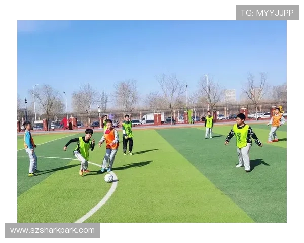 足球体教结合：校园联赛优胜者进入职业梯队的绿色通道与学业保障